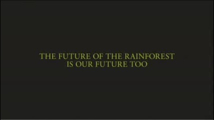 The Princes Rainforests Project Awareness Campaign Video