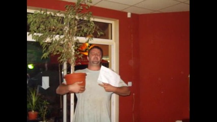 blagovo