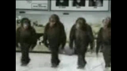 Lord Of The Dance - в парламента София 