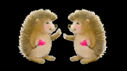 Happy Valentines Day 