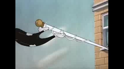 Tom & Jerry - Casanova Cat 