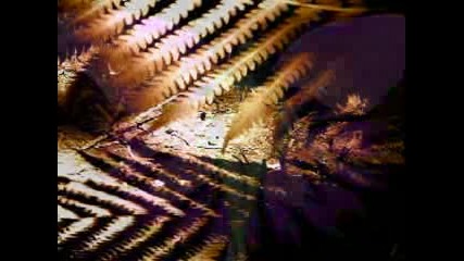 Paul Schwartz - Ombra