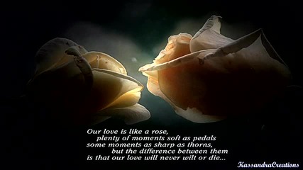 Yiruma - Destiny Of Love