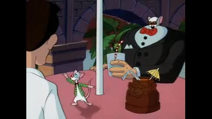 Pinky and the Brain,ep.18