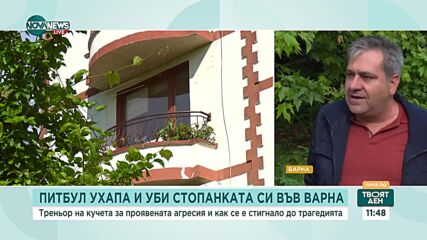 Питбулът, убил стопанката си във Варна, преди година нахапал и приятеля ѝ