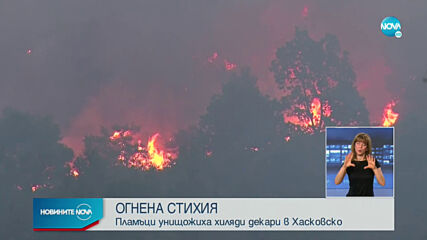 Локализираха пожарите в Хасковско
