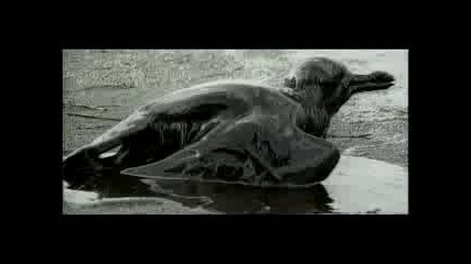 Linkin Park - What Ive Done