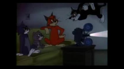 Tom And Jerry: Tom I Negovite Priqteli