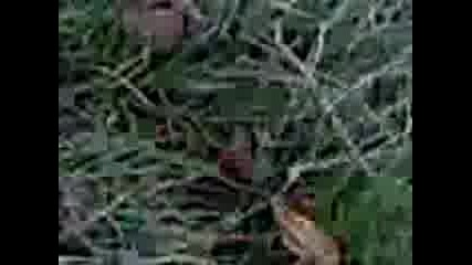 032907145814.3gp
