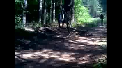 vt kartala 3