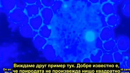 Графен и експериментална течност.mp4