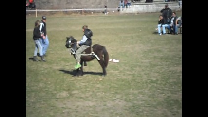 Todorov den Strel4a 2012