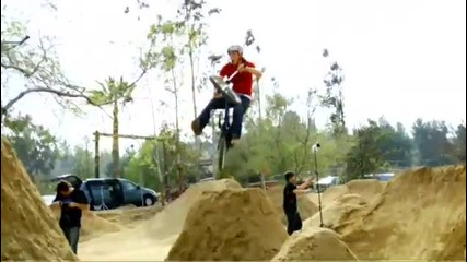 Levis Pro Team Bmx