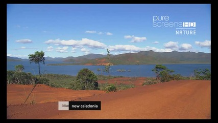 Purescreens Nature Hd