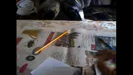 Как се рисува тиква
