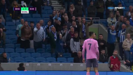 Брайтън & Хоув Албиън - Евертън 1:5 /репортаж/