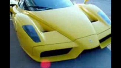 Ferrari vs. Lamborghini