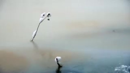 Финландия - зимен ден