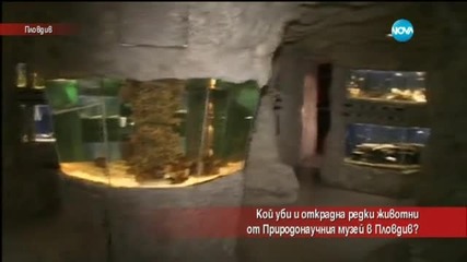 Кой уби и открадна редки животни от Природонаучния музей в Пловдив? - Часът на Милен Цветков