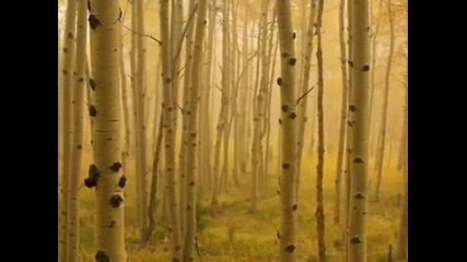 Vangelis - Losing Sleep (still. My Heart) 