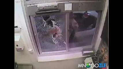 Изперкала жена се бие в работата 