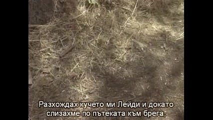 Загадка - Праисторическо морско чудовище - Bg превод