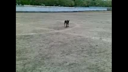 Видео003.3gp