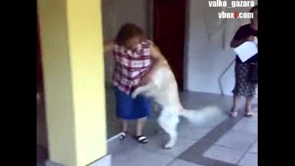 Tова куче направо узнасили бабичката смях ;d