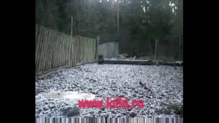 Eurorus.wmv