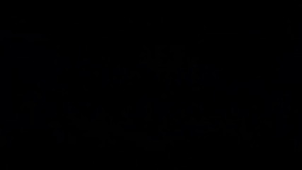 New интро !