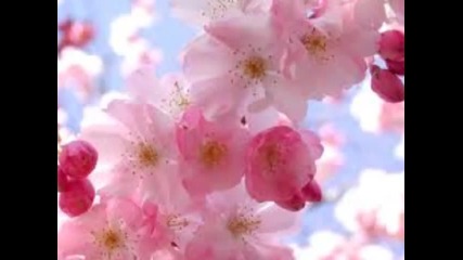 Lee Ji Soo - Love Poem (theme song) [spring Waltz Ost ]