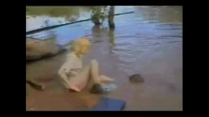 Мацка се плаши от тюлен
