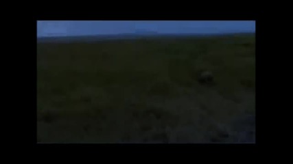 Цар Лъв С Истински Животни Част 8 (бг субтитри)