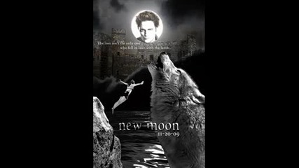 New Moon...