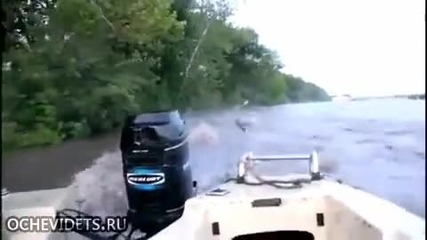 Как се лови риба в Перу