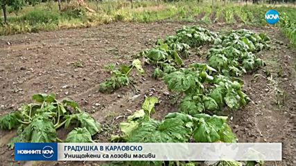 Дъжд и градушки паднаха на много места в страната