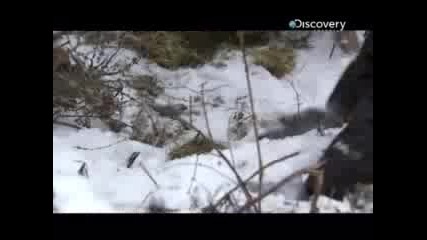 Оцеляване на предела Сибир - с превод част [2/2]