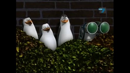 Пингвините от Мадагаскар Сезон 2 Епизод 21