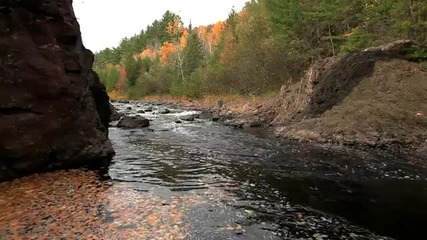 Autumn River