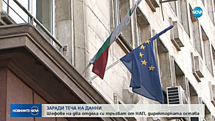 Двама шефове в НАП уволнени след хакерската атака
