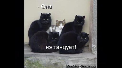 Bubole4ka