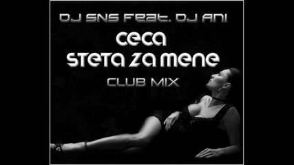 Dj Sns feat Dj Ani - Ceca - Steta za Mene (club Mix)
