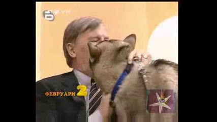 ! Топ Гафове За Февруари - 31.12.2008 !