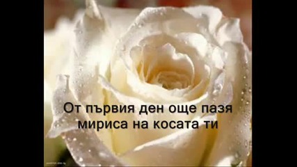 Dragana Mirkovic - Sve bih dala da si tu Превод