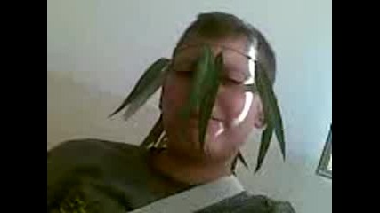 idi0tt