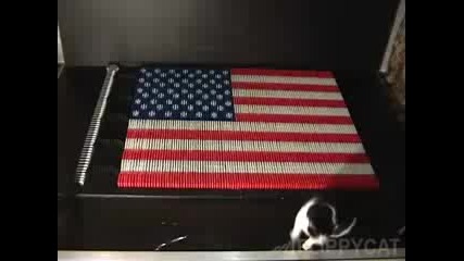 American Flag With Domino