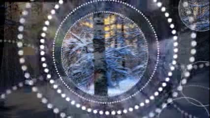 Beautiful Winter Days