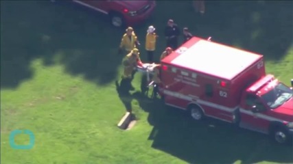 Harrison Ford Recovering ‘remarkably’ Well
