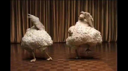 Dancing Chickens
