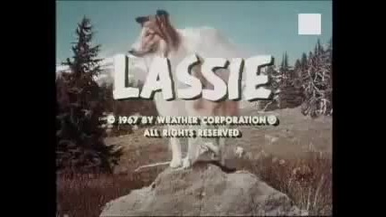 1969 Ласи - Lassie